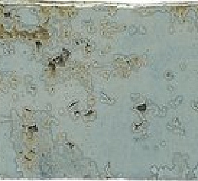 Ape Grupo Коллекция GRUNGE Aqua 7.5*30 см (P96) / Апе Групо Коллекция Грунж Аква 7,5*30 см (P96)