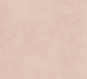 Alterego Clay/Альтерего Клэй